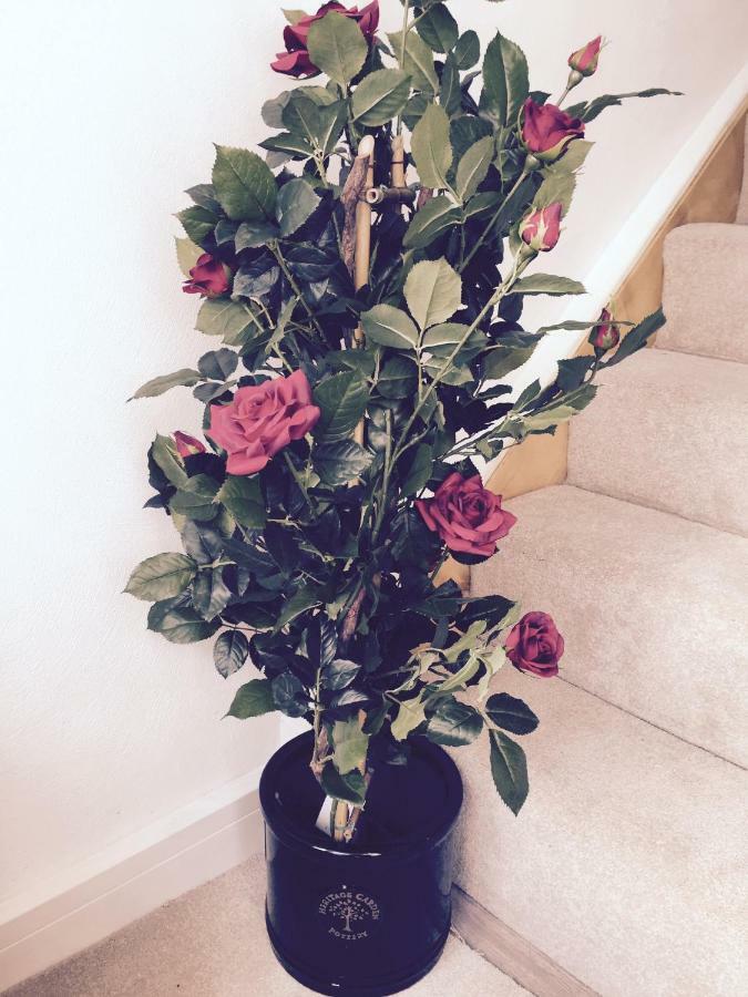 Red Rose Cottage Cockermouth Luaran gambar